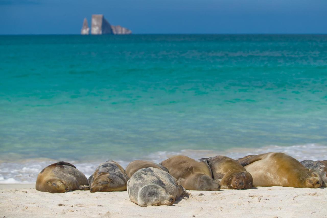 Suite Cielo, Discover The Magic Of Galapagos 푸에르토 바케리조 모레노 외부 사진